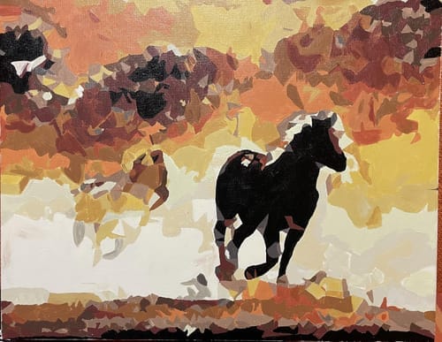 Customer photo review of Chevaux en action