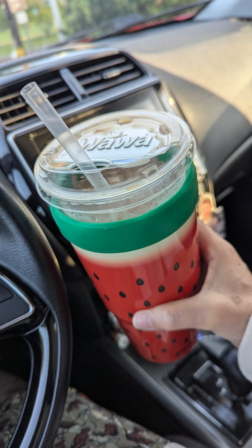 Customer photo review of To-Go Buddy | Watermelon Kiss