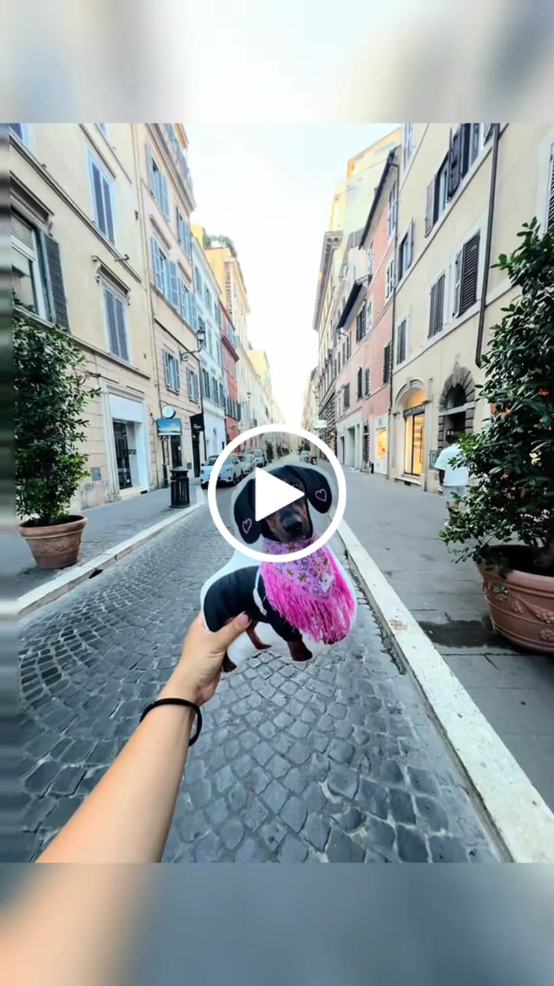 Customer video review of Pet Pillow Looks Like Your Pet, Customize Dog Shaped Pillow with Pet Photo - ThePetPillow