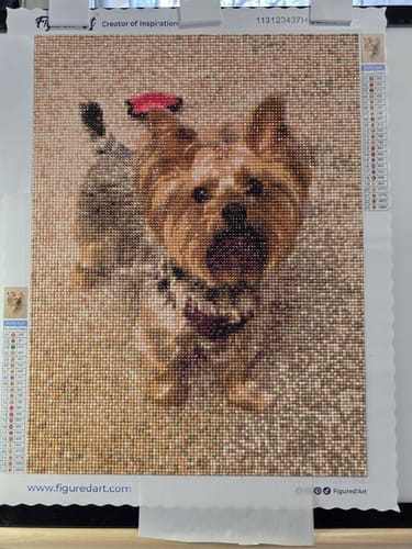 Customer photo review of Broderie Diamant Personnalisée - Réalisation graphique Gratuite