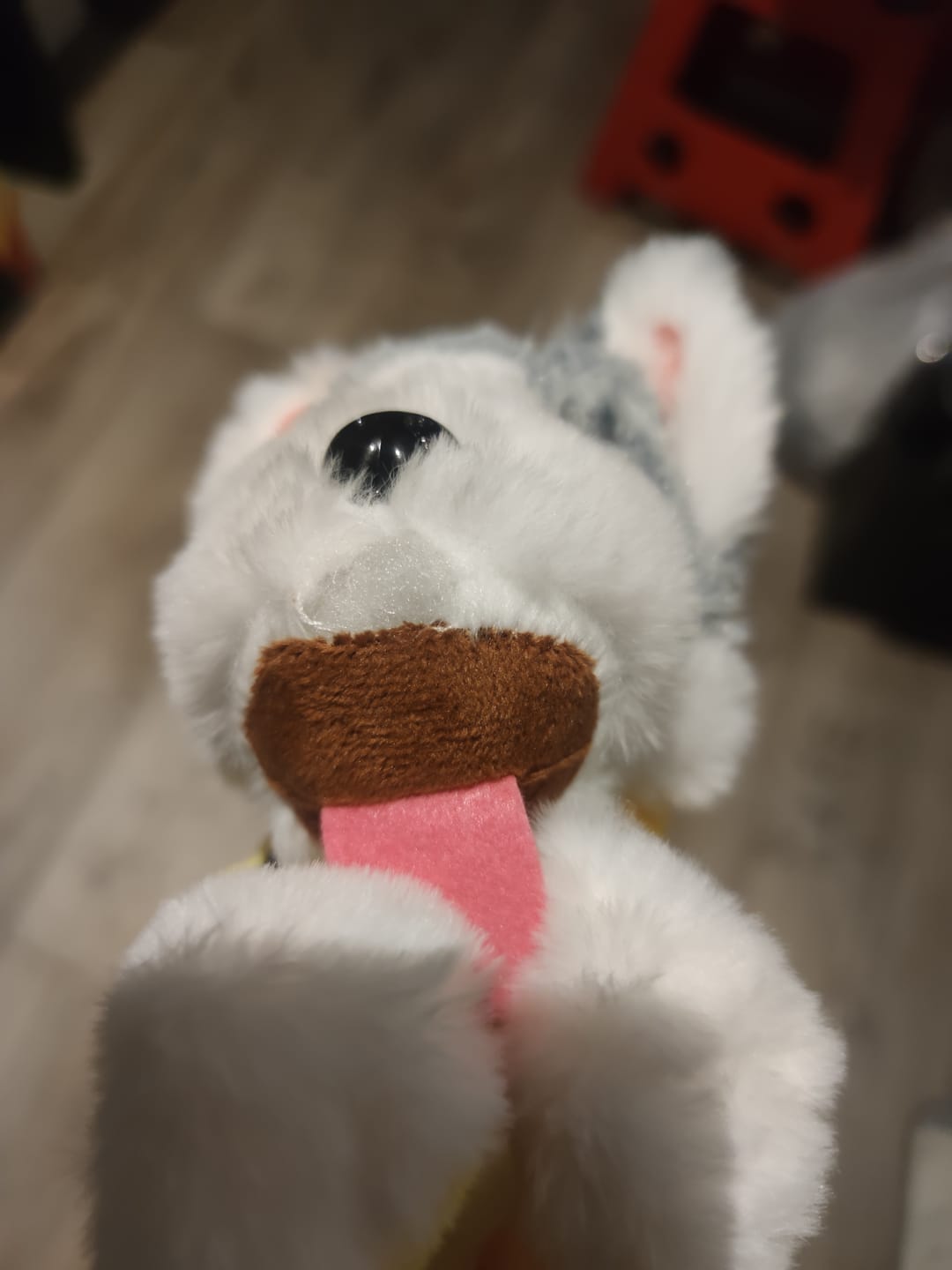 Customer photo review of BoxerBuddy