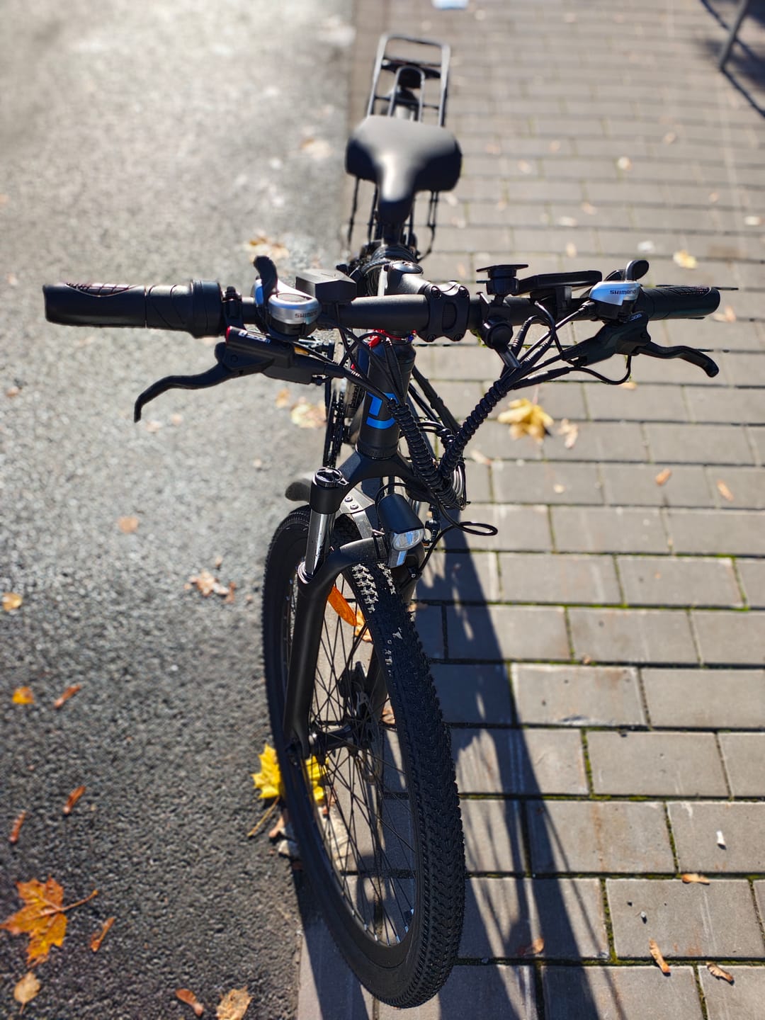Customer photo review of DUOTTS C29 Electric Bike