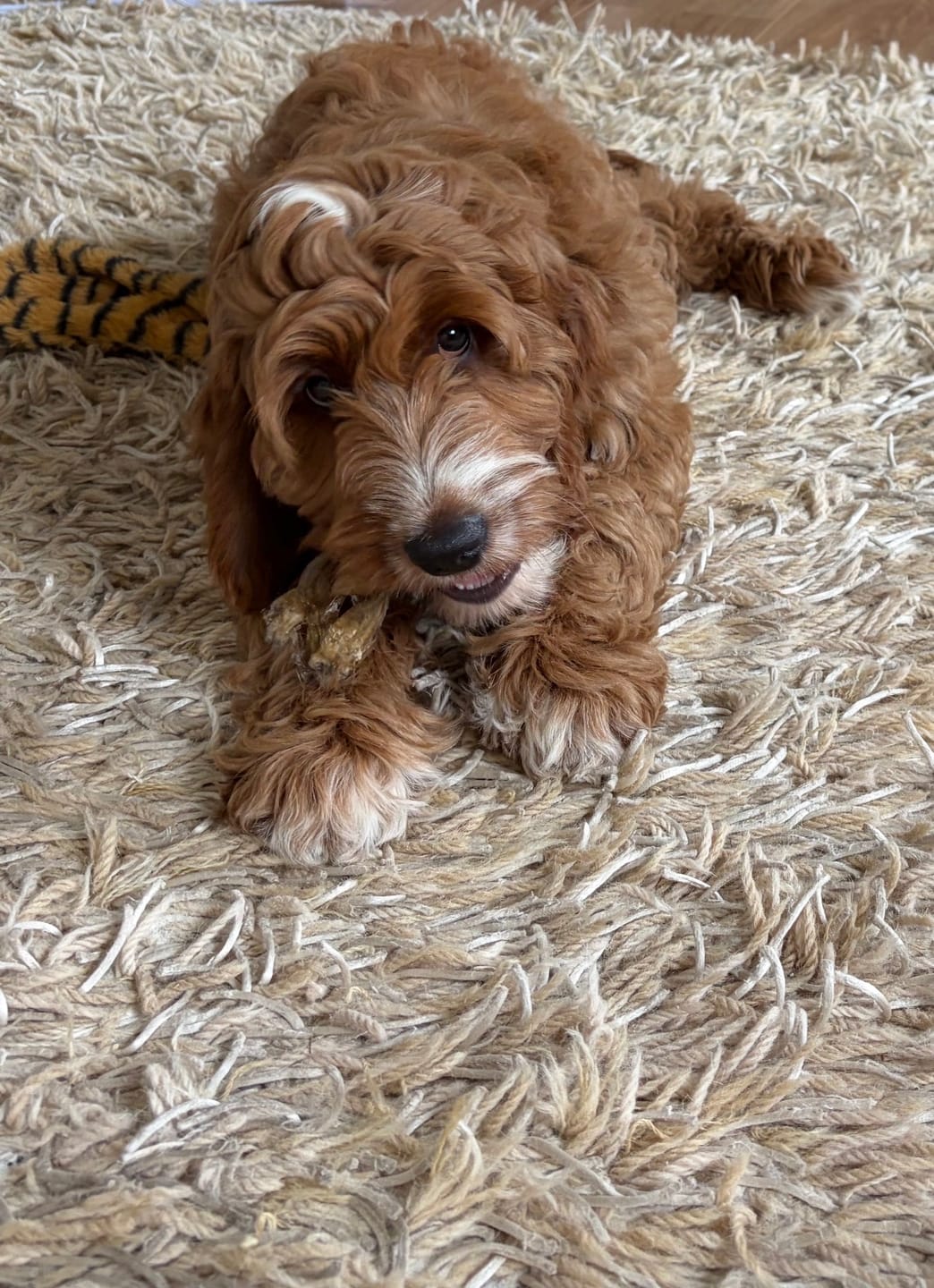 Customer photo review of Lamb Braid (120g)
