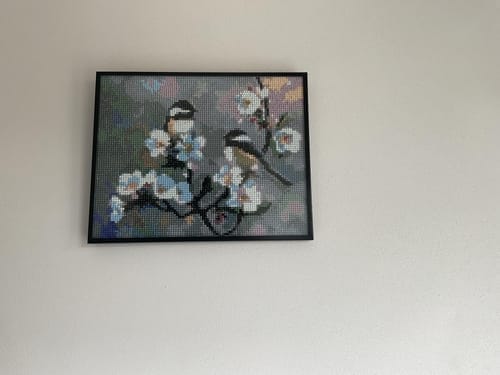 Customer photo review of Broderie Diamant - Petits Oiseaux et Fleurs Blanches