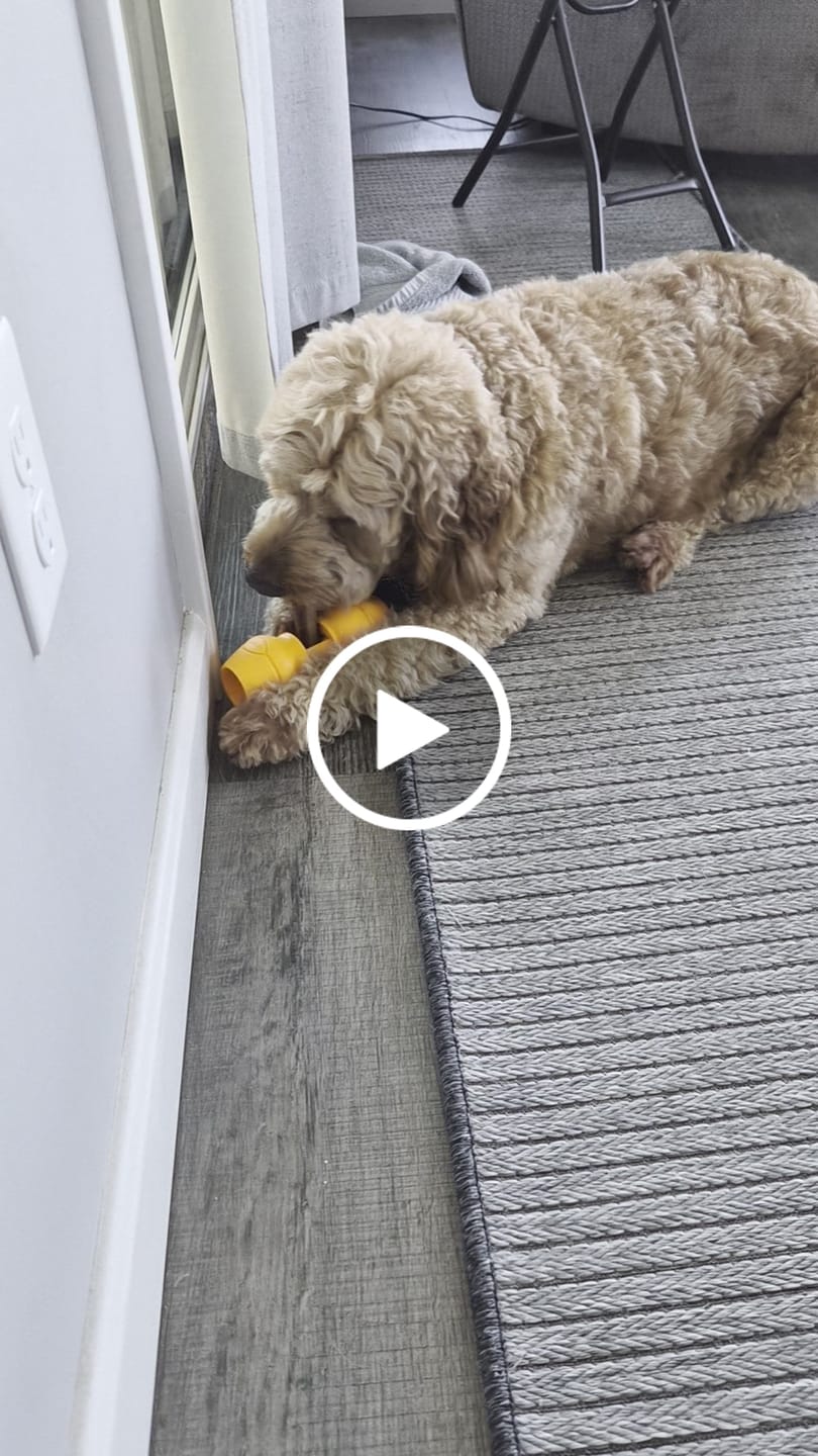 Customer video review of Wholly Pup Gift Card