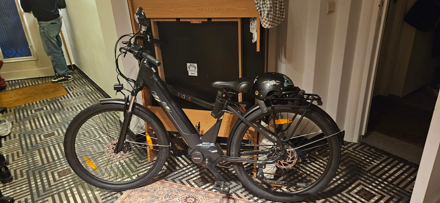 Customer photo review of Touroll Urbano 3 Mid-Drive Electric Bike