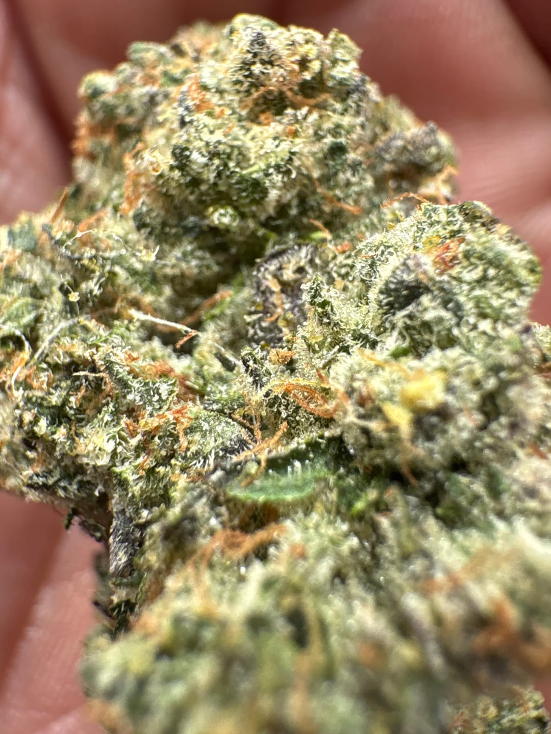 Customer photo review of ZAzooka THCA Flower