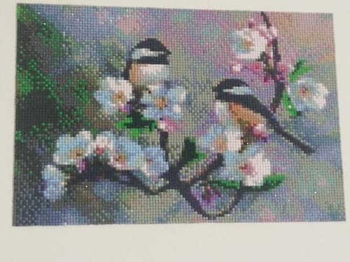 Customer photo review of Broderie Diamant - Petits Oiseaux et Fleurs Blanches