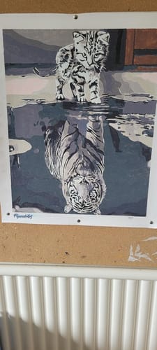 Customer photo review of Chaton Reflet Tigre