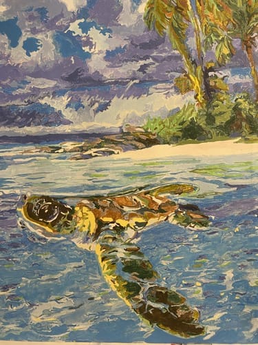 Customer photo review of Tortue détendue