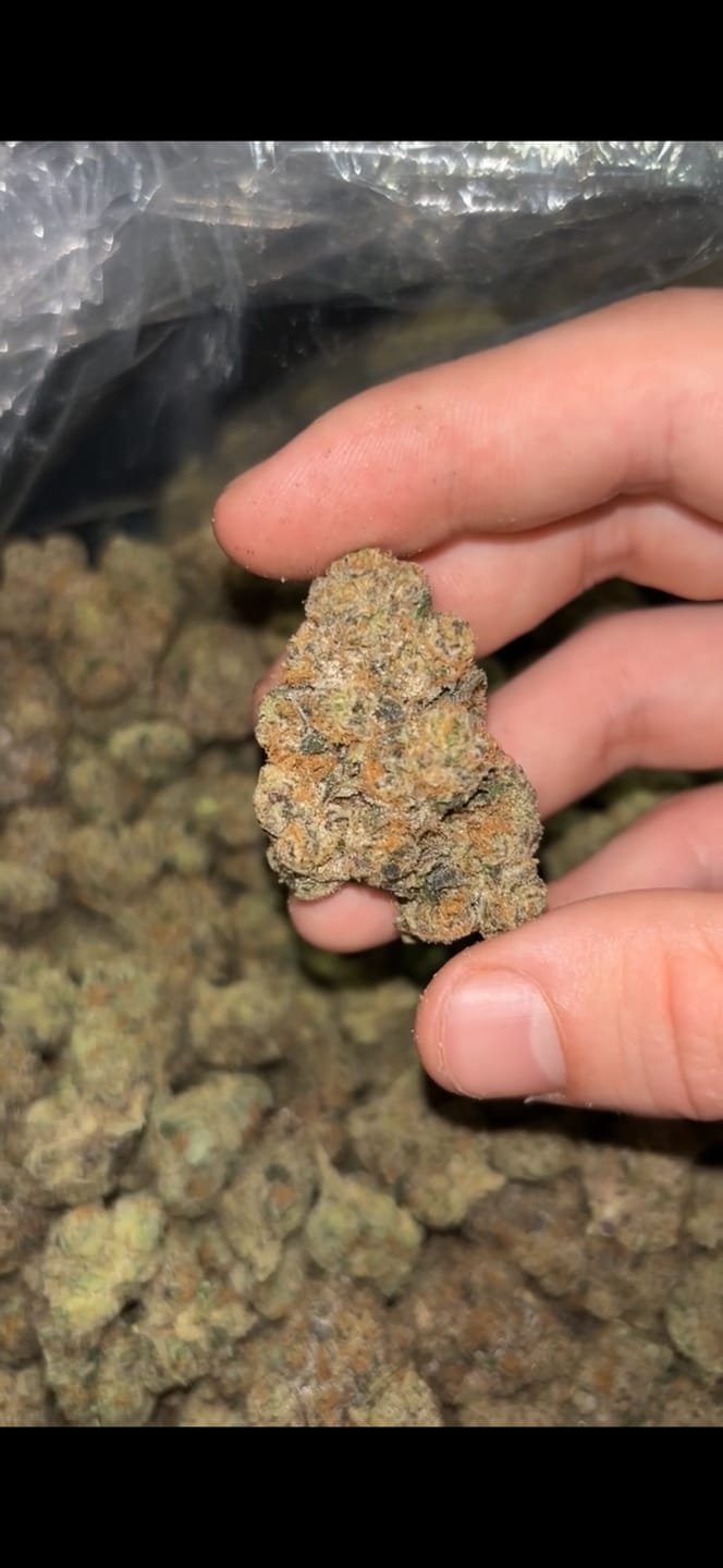 Customer photo review of Jokerz THCA Flower