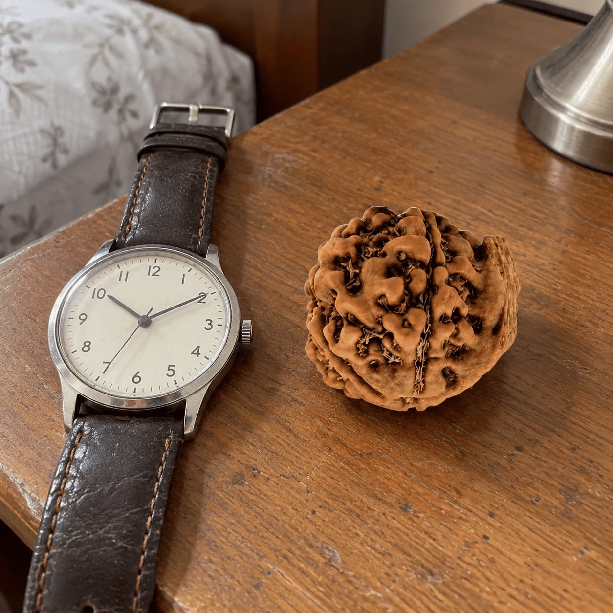 Customer photo review of Ganesh Mukhi Rudraksha (Nepali)