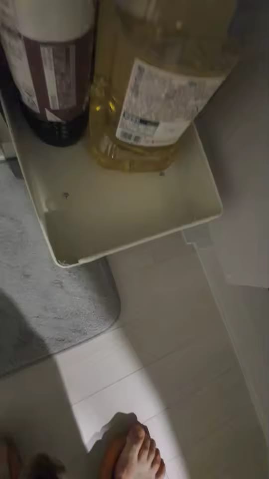 Customer photo review of Pull Out Cabinet Organizer