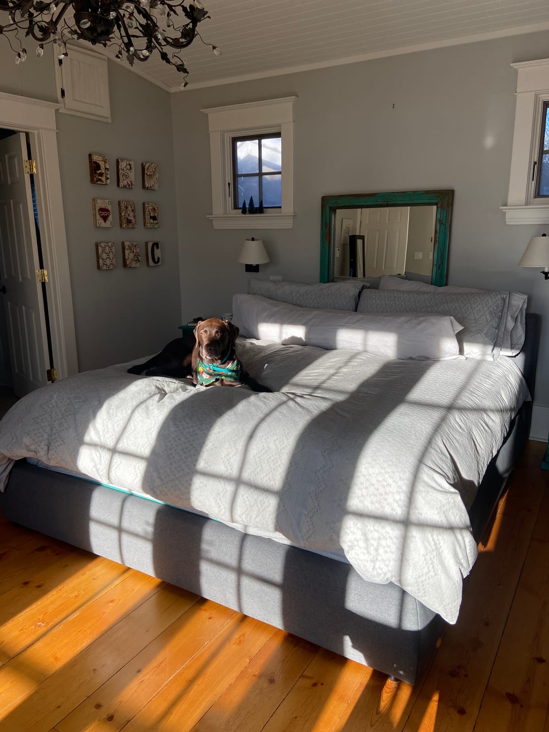 Customer photo review of Ophelia Form Bed