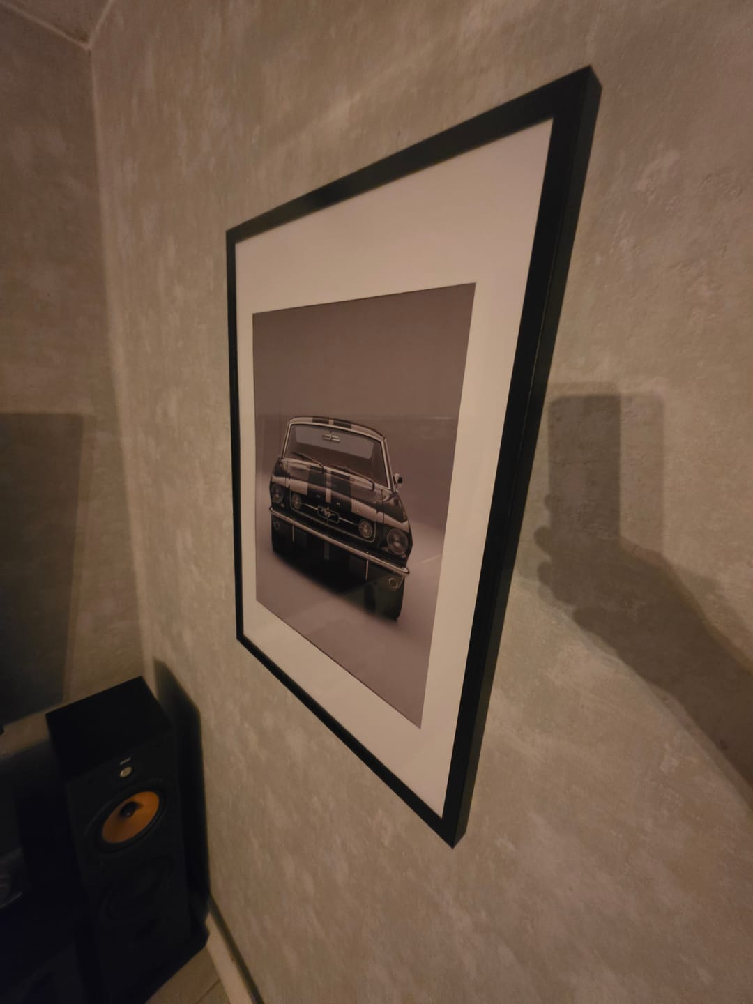 Customer photo review of Stang Front
