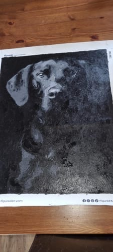 Customer photo review of Portrait de Chien noir