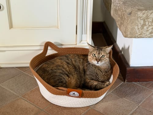 Customer's brown and white Instinct Basket with a tabby cat resting inside on a tiled floor.