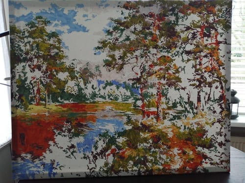 Customer photo review of Paysage forestier et Etang
