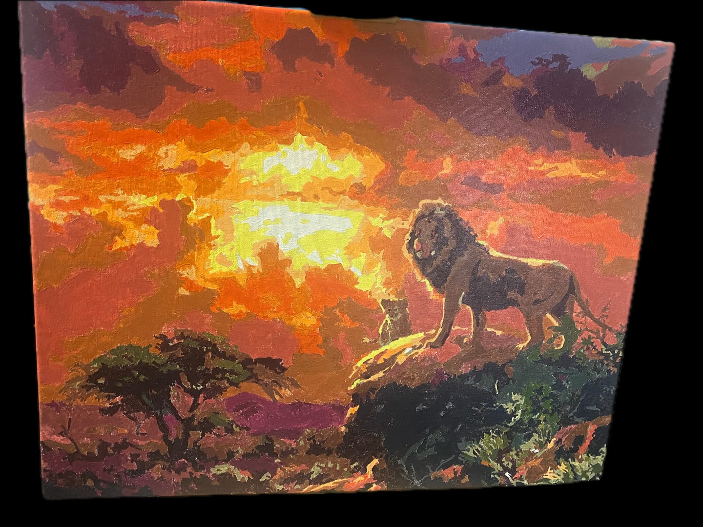 Customer photo review of Lion au coucher de soleil