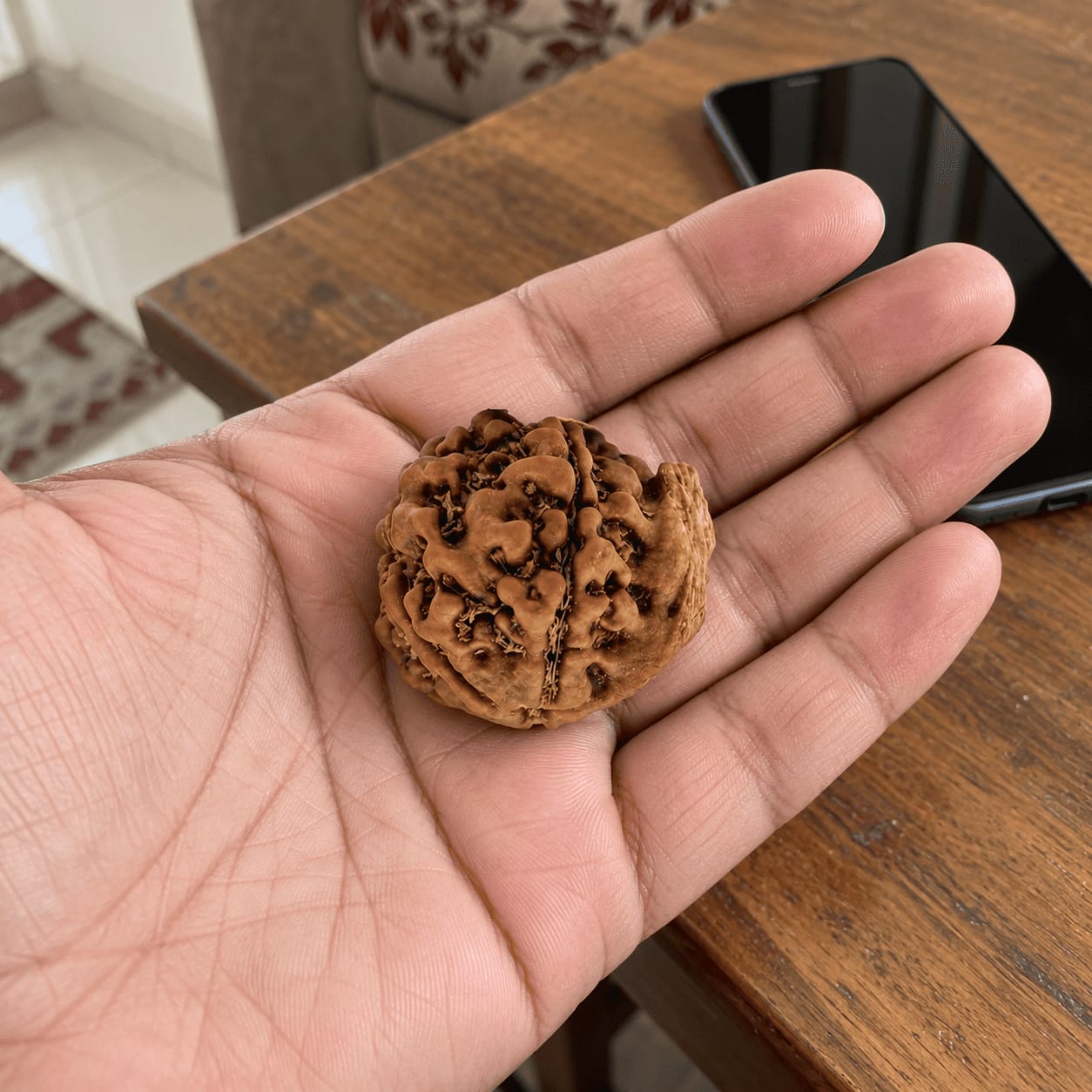Customer photo review of Ganesh Mukhi Rudraksha (Nepali)