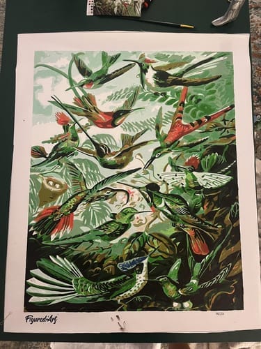 Customer photo review of Tous les oiseaux