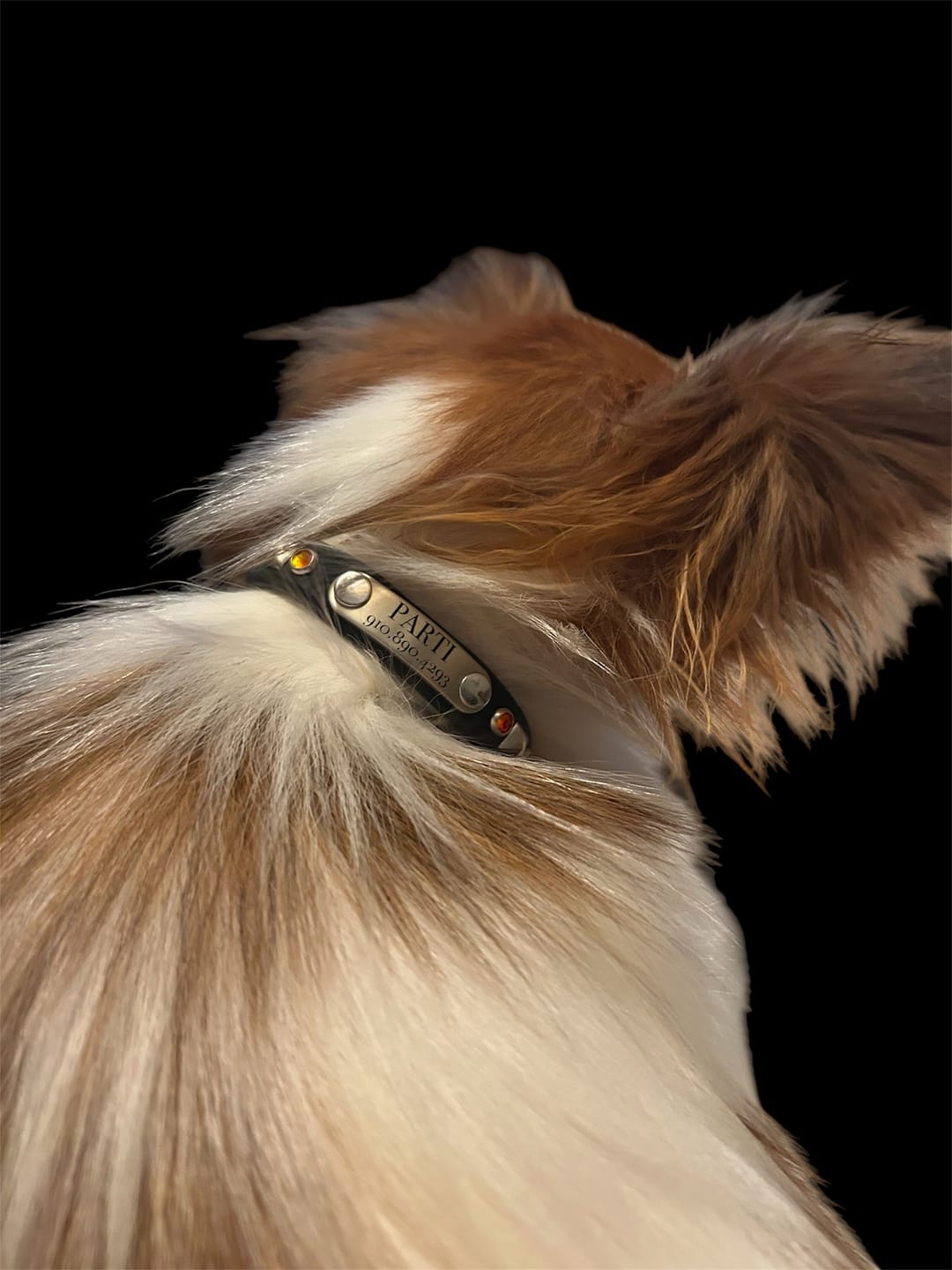 Customer photo review of Mini Rivet-On Tag