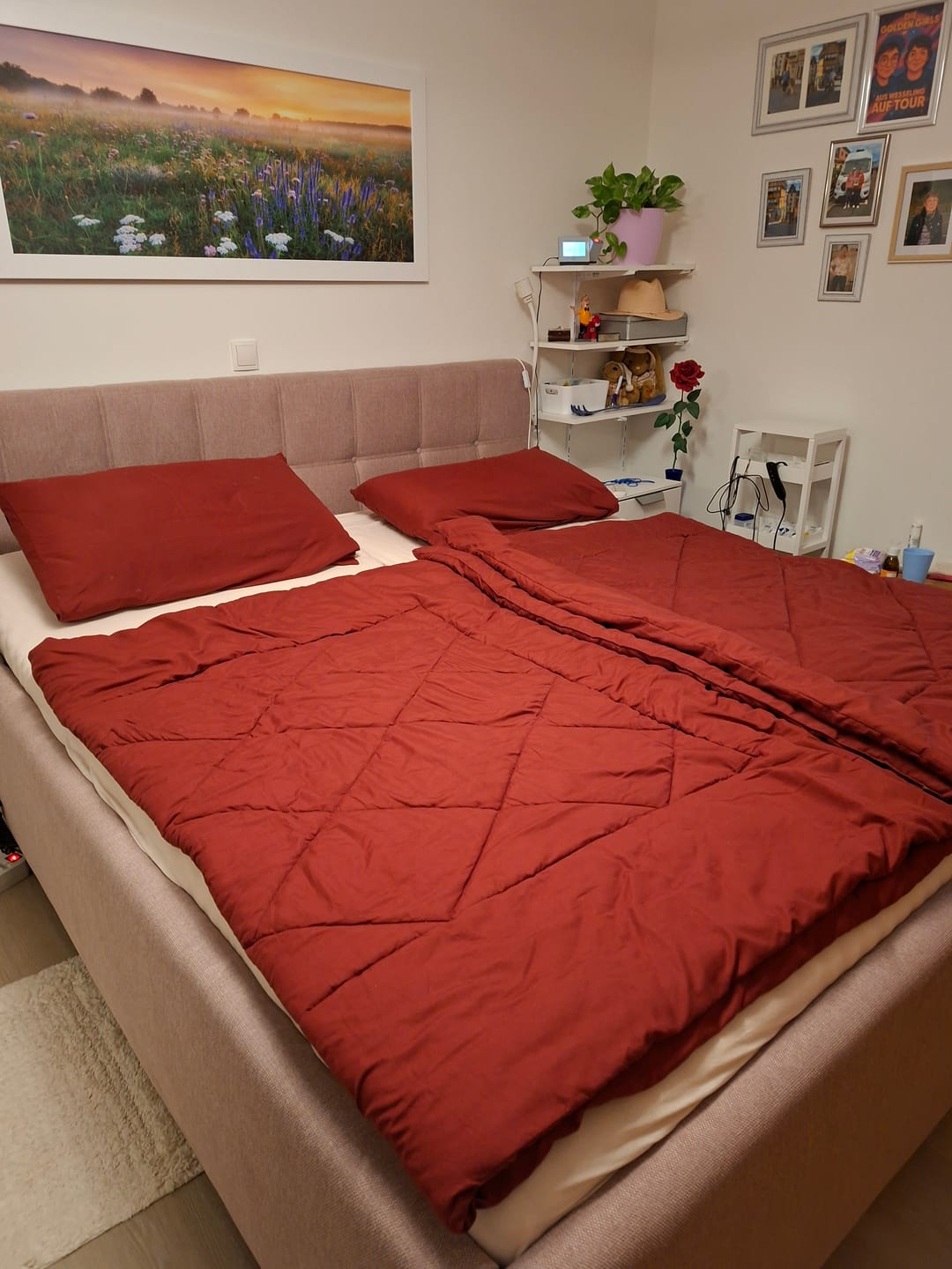 Customer photo review of EasySleep® – 2-in-1 Ganzjahresdecke. Schnelltrocknend & ohne Bettwäsche