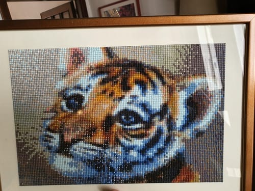 Customer photo review of Broderie Diamant - Bébé Tigre