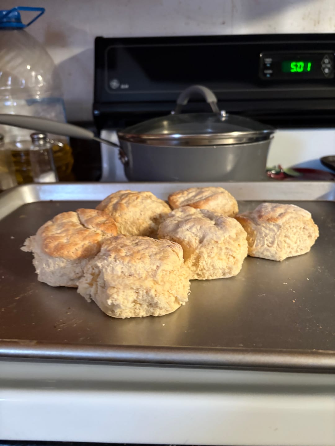 Customer photo review of Cousin T's Biscuit Mix