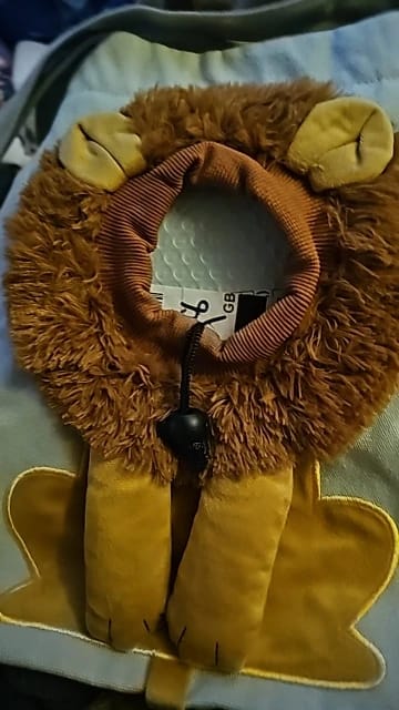 Customer photo review of Furball™ Carrier Bag