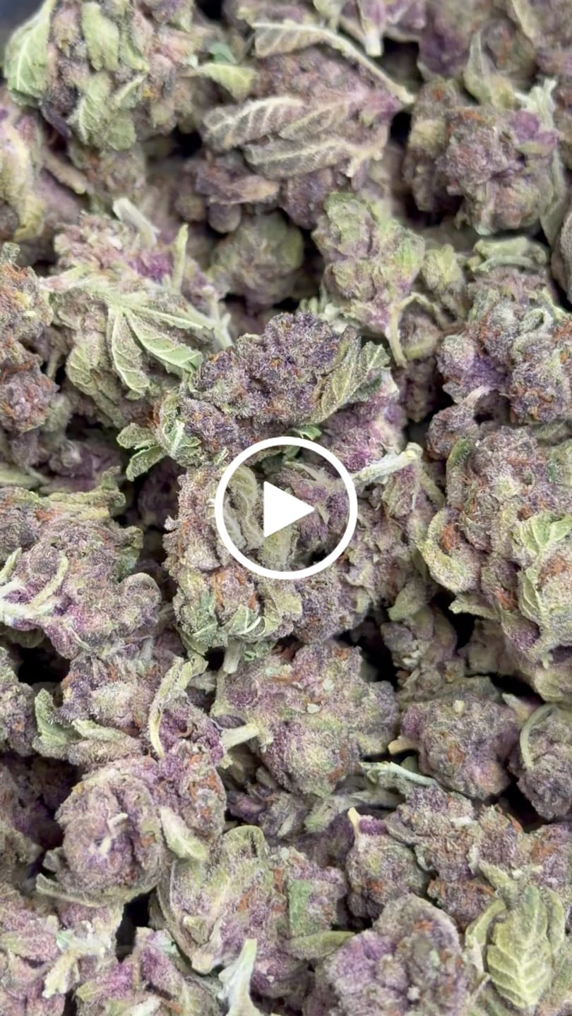 Customer video review of Tropicana Cherry THCA Smalls
