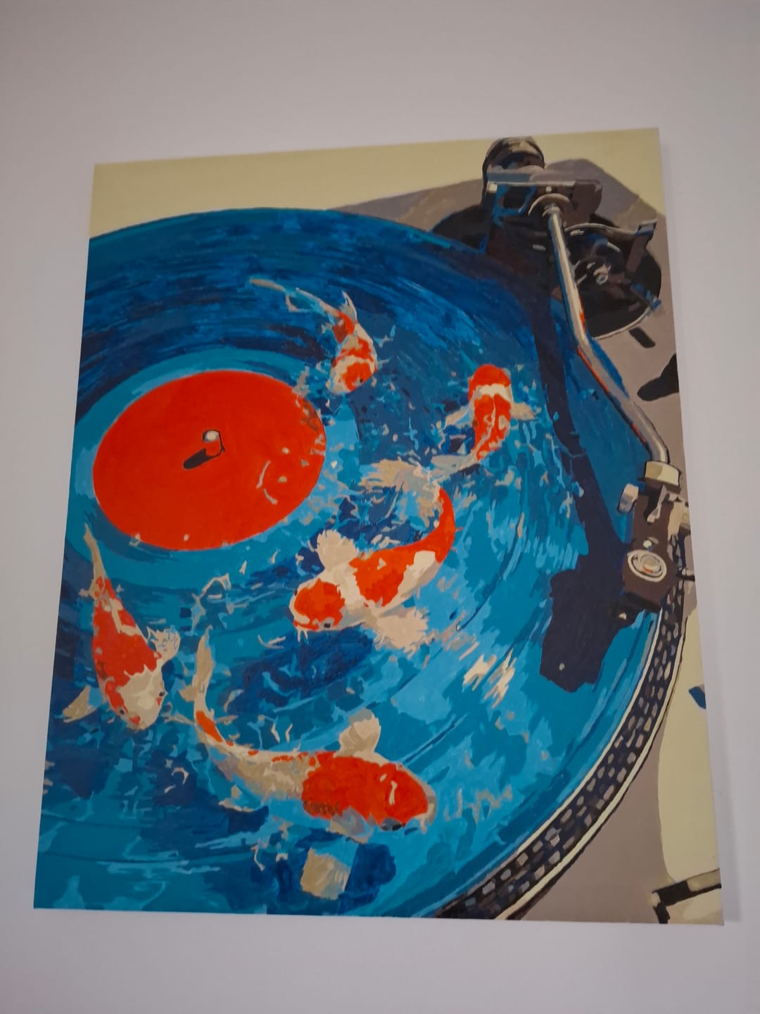Customer photo review of Koi Records | Paint by Number