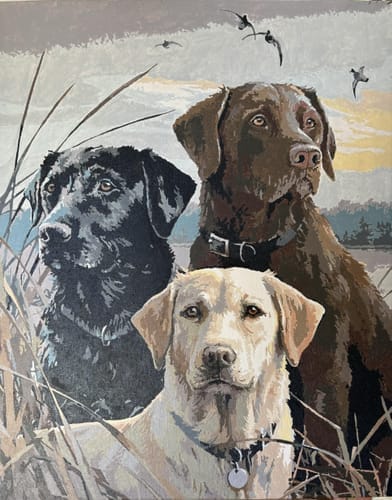 Customer photo review of Trio de Labrador