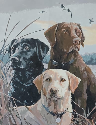 Customer photo review of Trio de Labrador