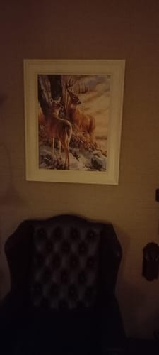 Customer photo review of Cerfs en Hiver