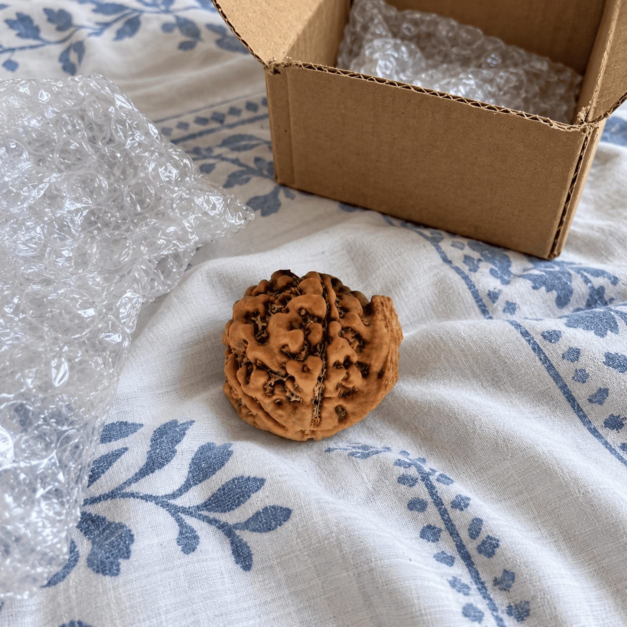 Customer photo review of Ganesh Mukhi Rudraksha (Nepali)