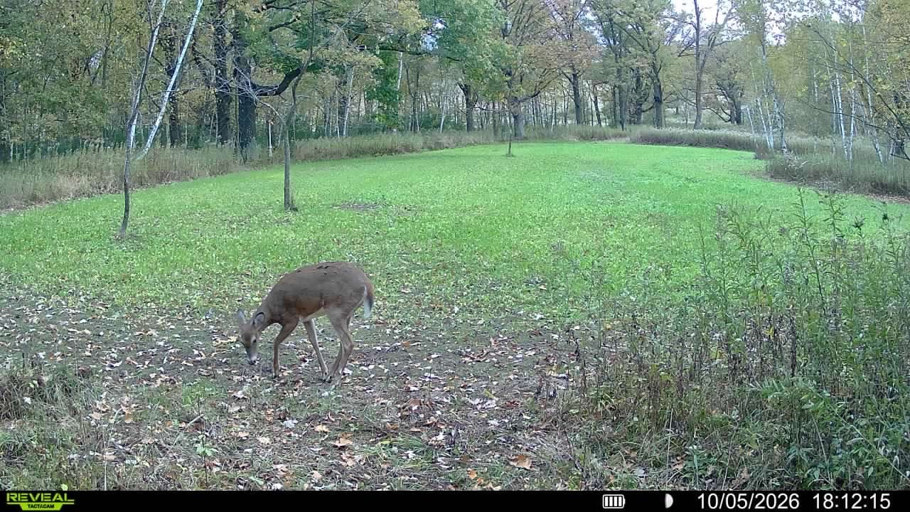 Customer photo review of Rut Greens PLUS Cold Climate