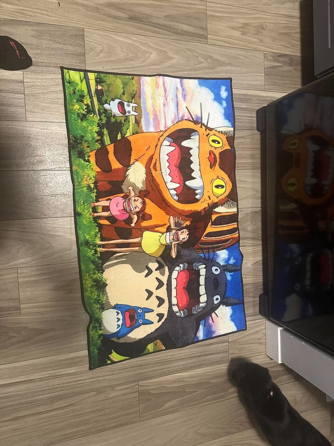 Customer photo review of Totoro Rug