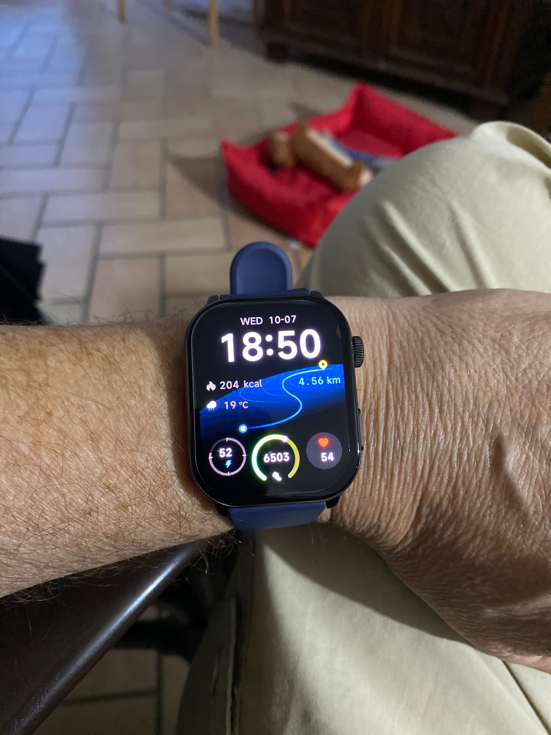 Customer photo review of GARD PRO SALUTE 3