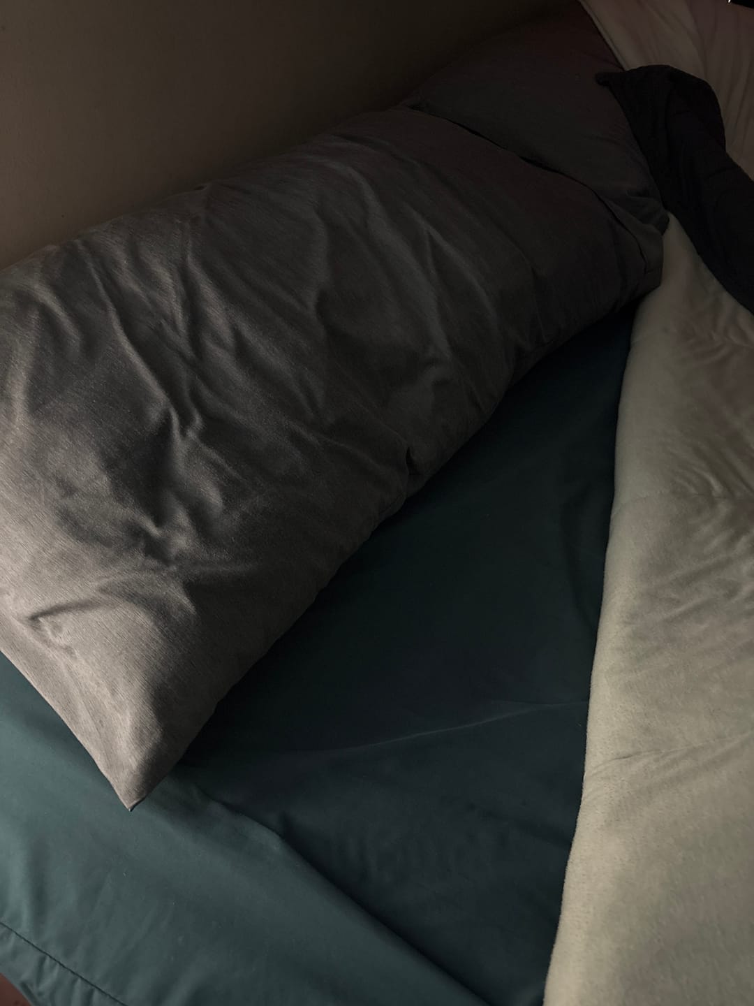 Customer photo review of Ploof Pillow