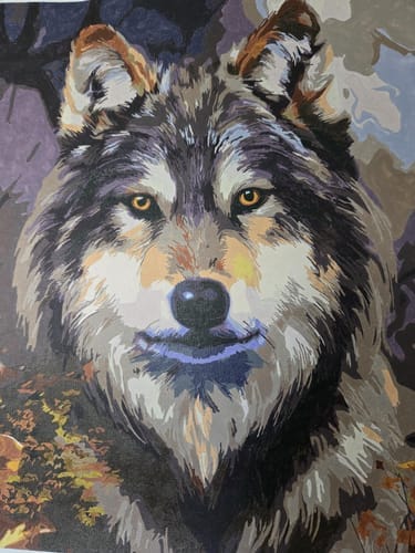 Customer photo review of Tête de loup