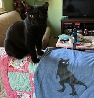 Customer photo review of Voidasaurus Tee