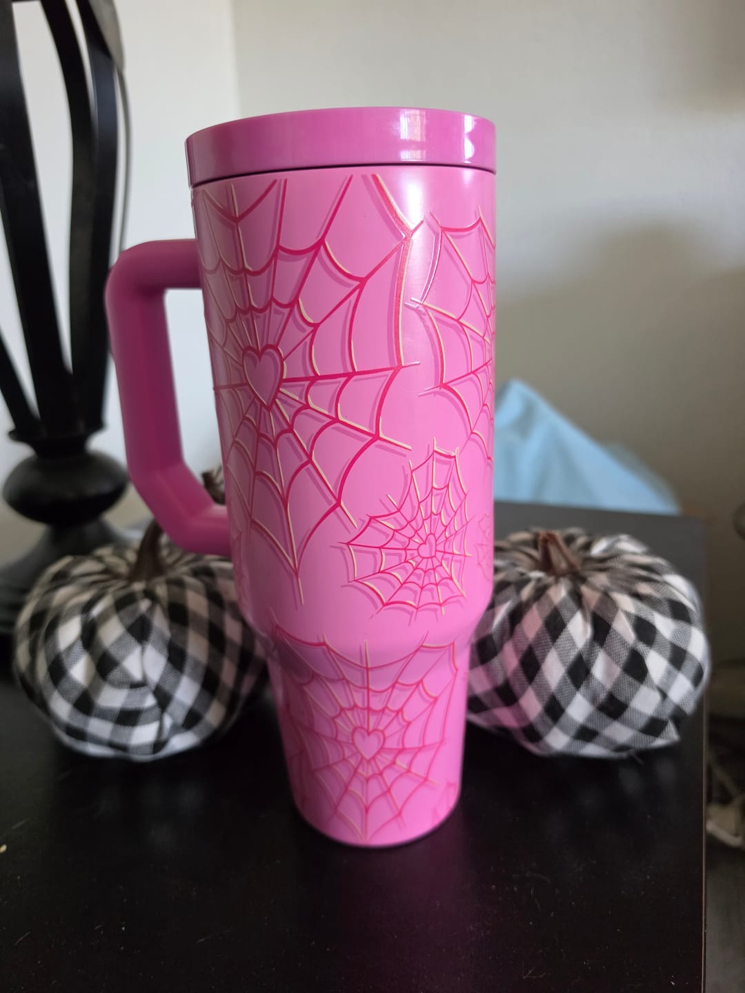 Customer photo review of Thicc Buddy 40oz | Pink Widow