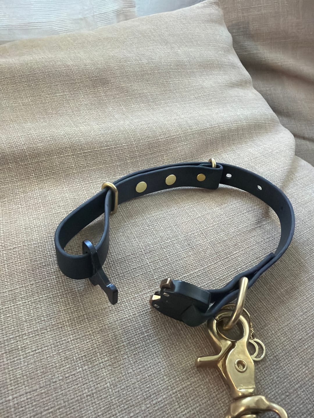 Customer photo review of Adjustable Biothane Quick Release Dog Collar