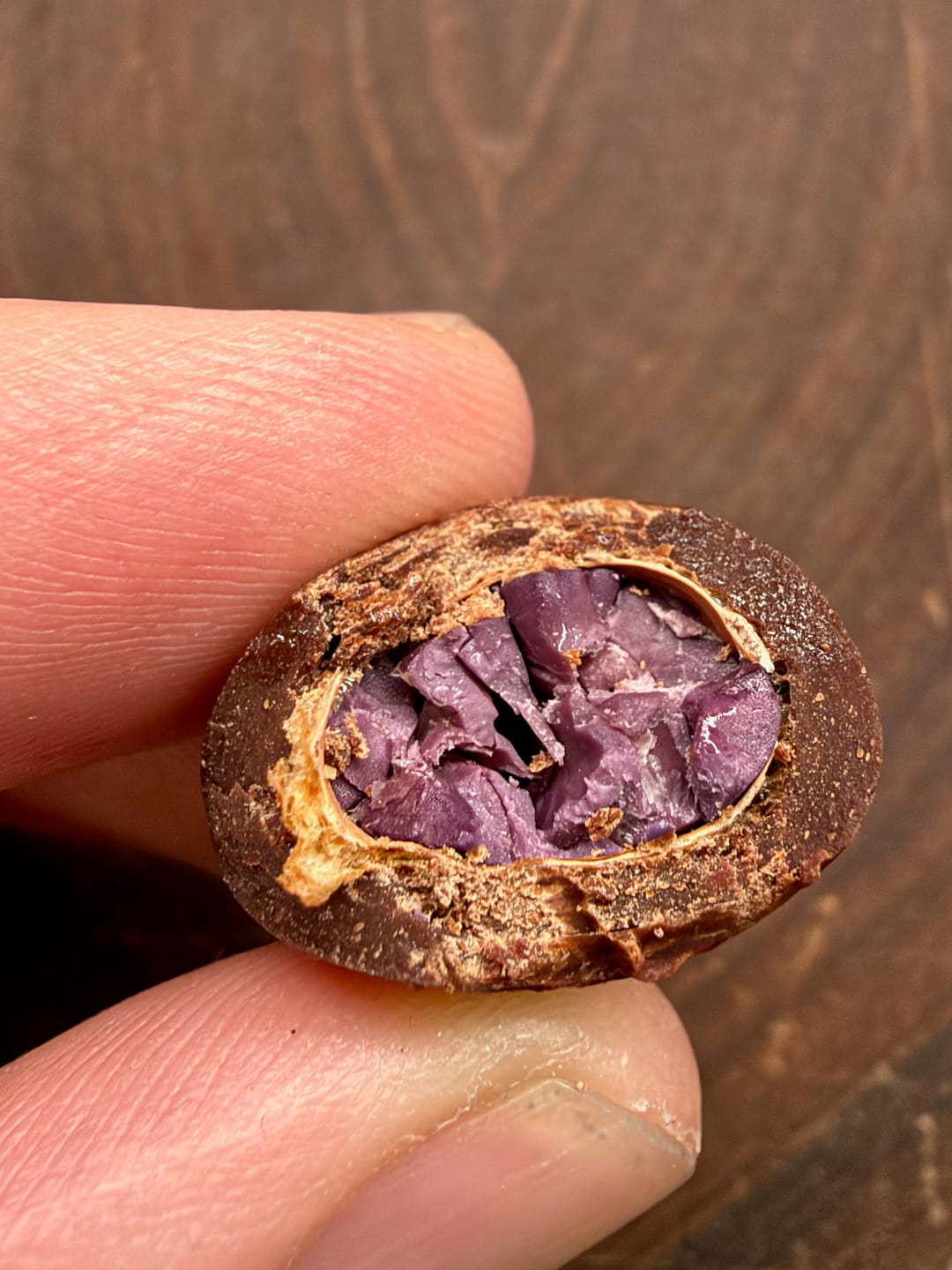 Customer photo review of 4 Pack- Energy Bites: Flavanol Rich Chocolate Covered Cocoa Seeds (Includes 2 Day Cool Ship)