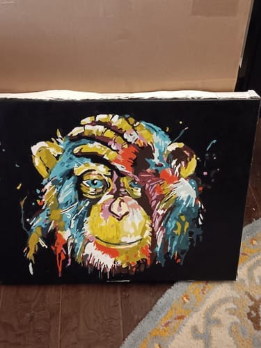 Customer photo review of Babouin Pop Art