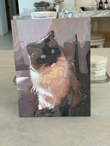 Customer photo review of Custom Paint by Numbers Kit
