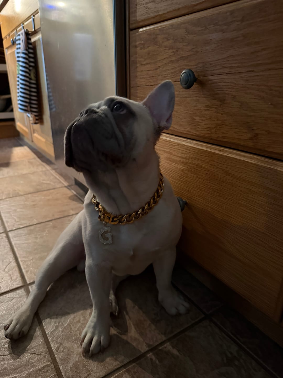 Customer photo review of Initial Letter Jewelry Dog Tag(A-Z)