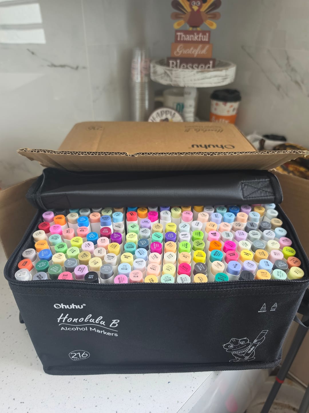 Customer photo review of Ohuhu Honolulu 216 Colors Dual Tips Alcohol Art Markers (New Color Codes)
