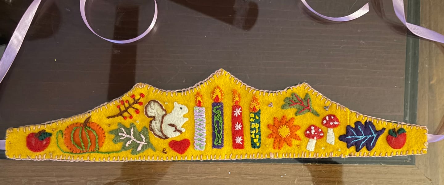 Customer photo review of Premium Wool Blend Craft Felt Sheets - Value Packs
